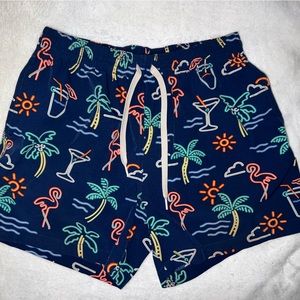Chubbies Swim 5.5 Inseam Neon Lights